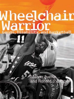 Wheelchair Warrior - ebook